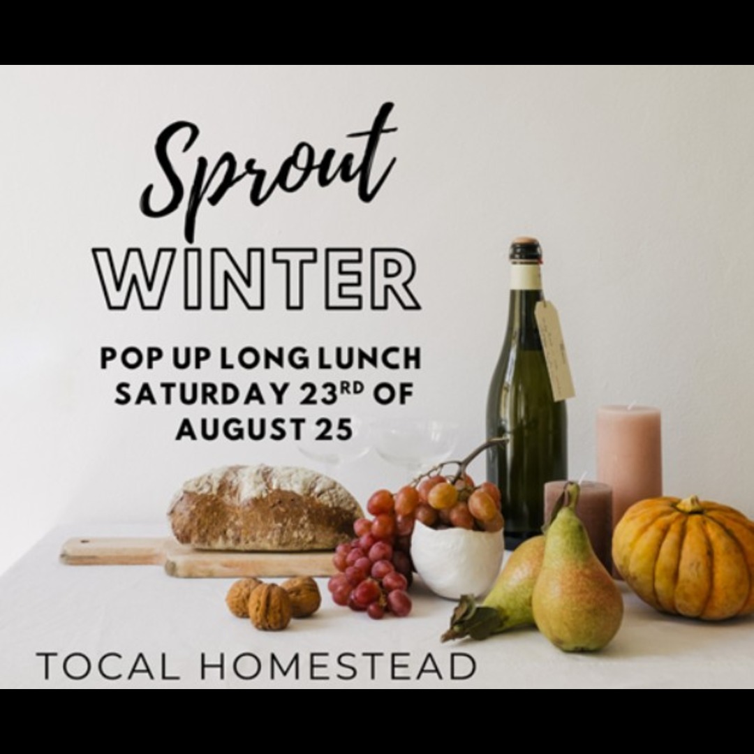 Long lunch at Tocal Homestead